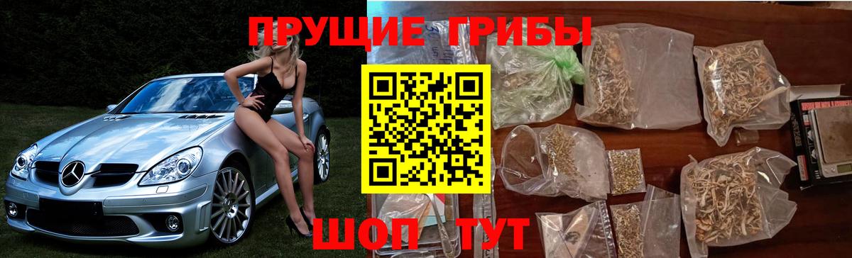 Холмск  купить закладку  Вход с VPN  Псилоцибиновые грибы прущие грибы 